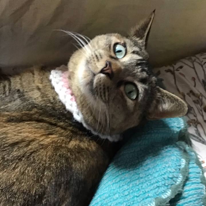 Fb596e01 f8ba 4061 8acd 970536286df9 1739437366203