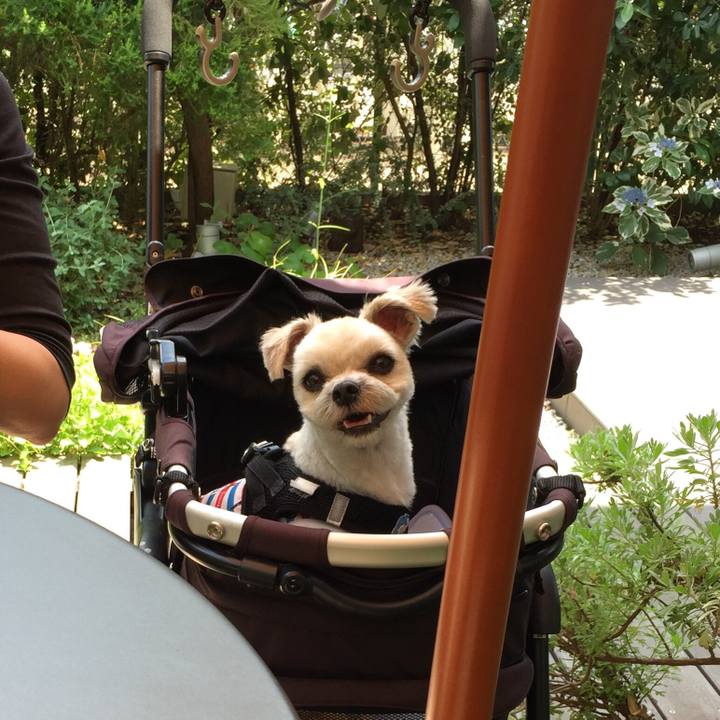 Fb5993a5 200f 4157 98bd 62ee345584da 1527924763321