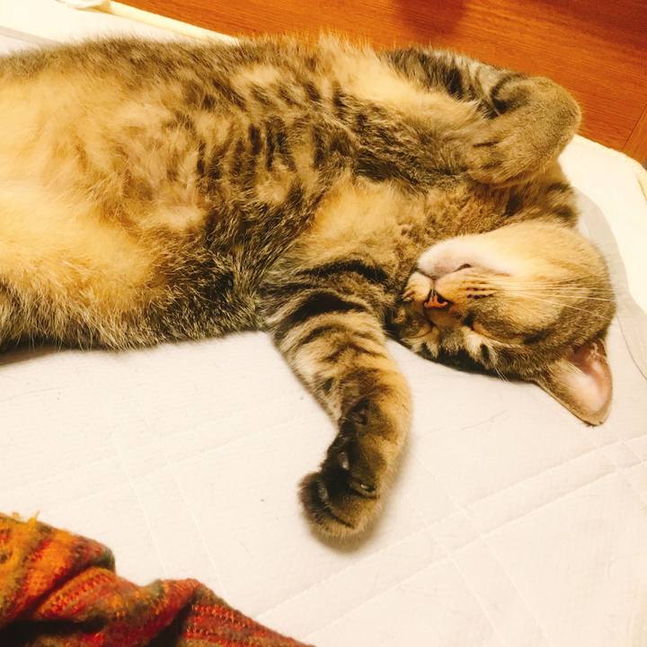 Fb599d1b 3fde 4f02 82ba f2eac3abdfb3 1530523361840