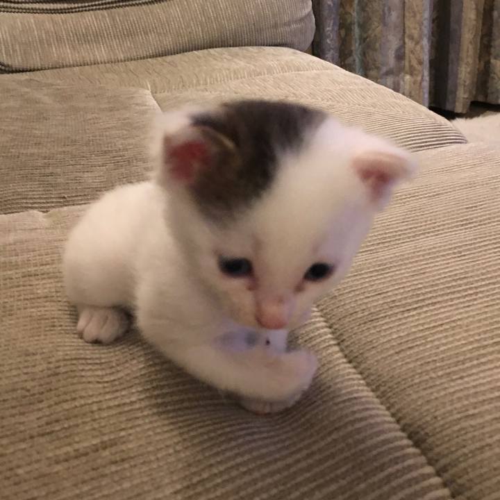 Fb59f01b 9c65 4809 9976 181d13cf0cf9 1664747672031