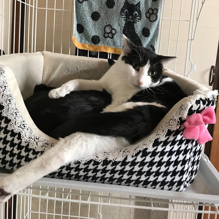 Fb5a1af5 9347 491f a8f7 7069d37e81f3 1520694336071