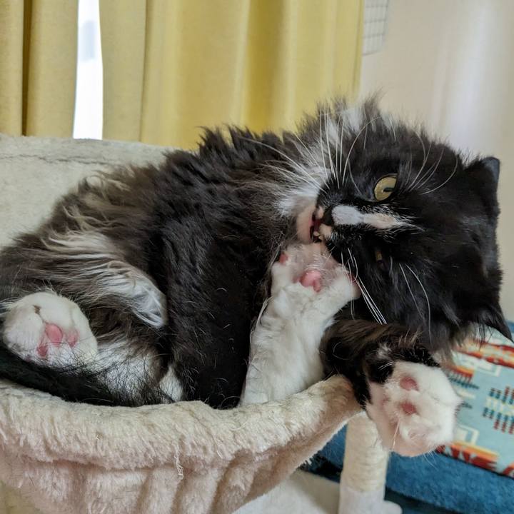 Fb5a395e 9076 4b43 b714 c3b6cc51470a 1685235135917