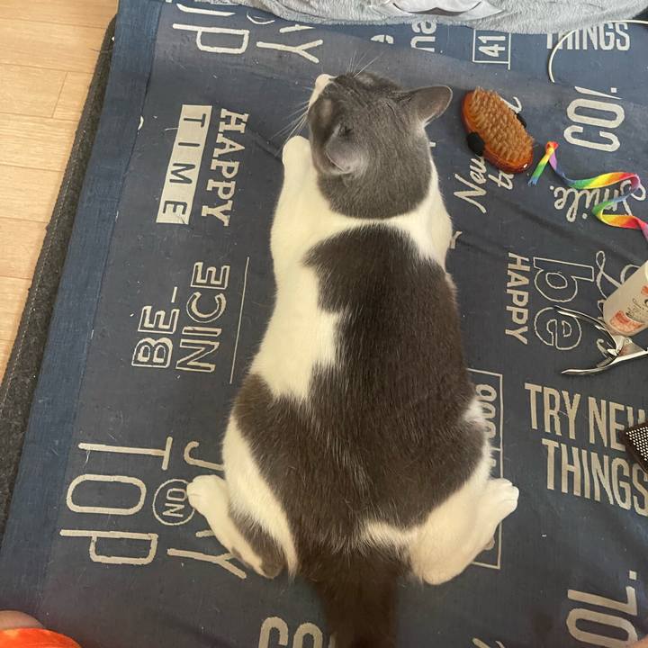 Fb5a3bef 22ba 4377 a639 eae3633cbeba 1751156549945