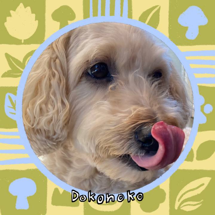 Fb5a4b19 71e2 48ef bc5c d4dd8090b47a 1761101711684