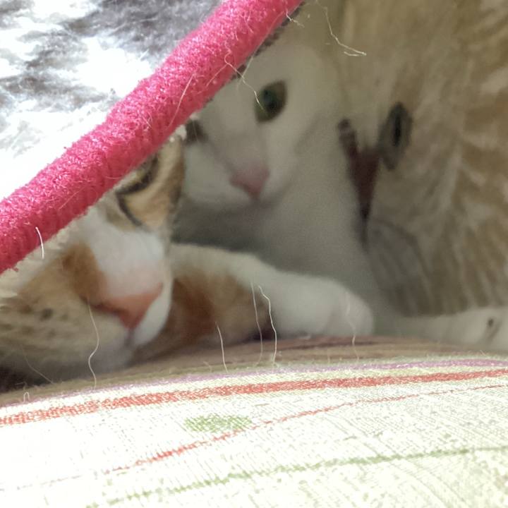 Fb5a69dd 5847 46fb aa2b 30f626eddd5e 1671666487515