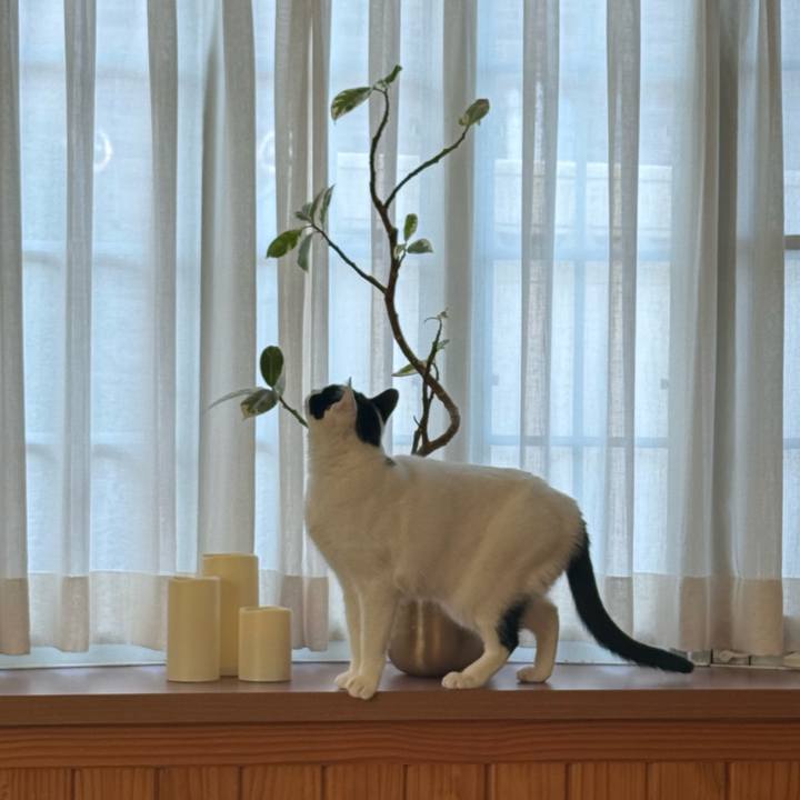 Fb5a99e7 f15d 4c85 83a3 18ed956a401a 1770815074889