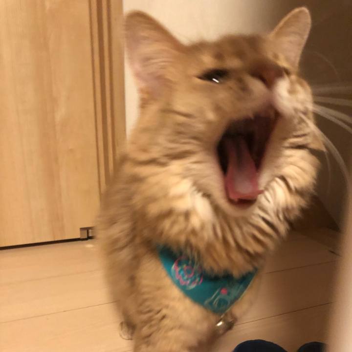 Fb5b141f 2805 4a68 a4c4 90292be4abff 1638322216018