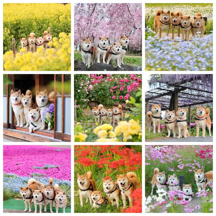 Fb5b4cc7 74f1 470d 965a 2adba7df0ba0 1767094934810