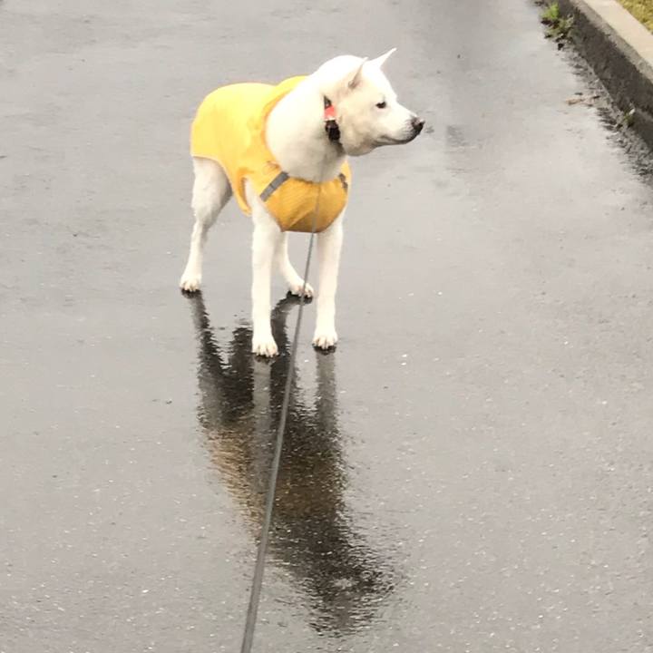 Fb5b790e ece5 4a62 9ce9 8363dab899fd 1521587075316