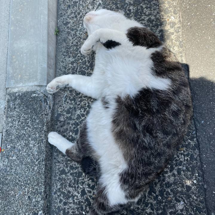 Fb5ba852 c24a 455b b0a6 681500745d06 1620022176690