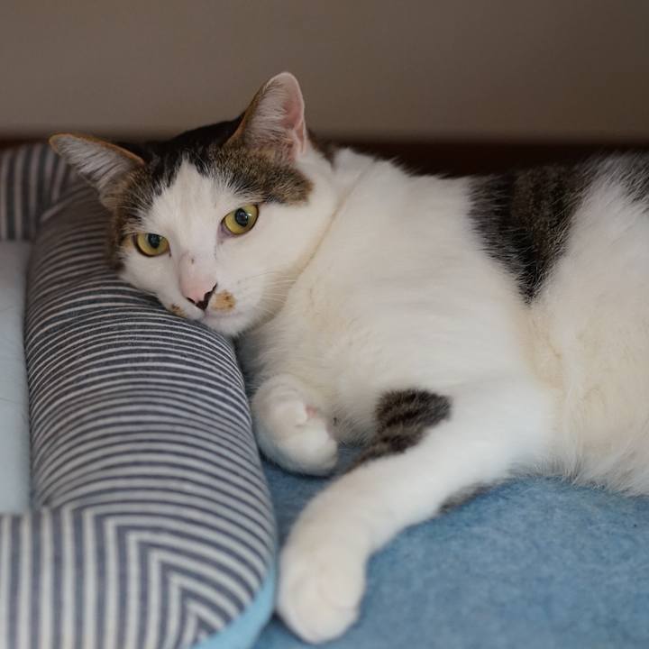 Fb5bb9fb 0b4b 4a3a 97da 7ede3ddd4055 1555976377461