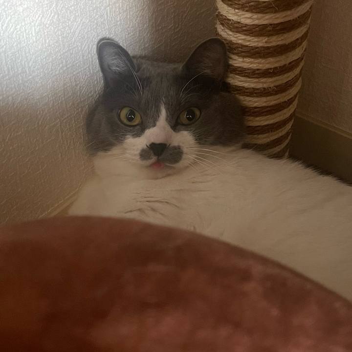 Fb5bcd16 ca8e 4b79 b084 4661da72b003 1695772485556