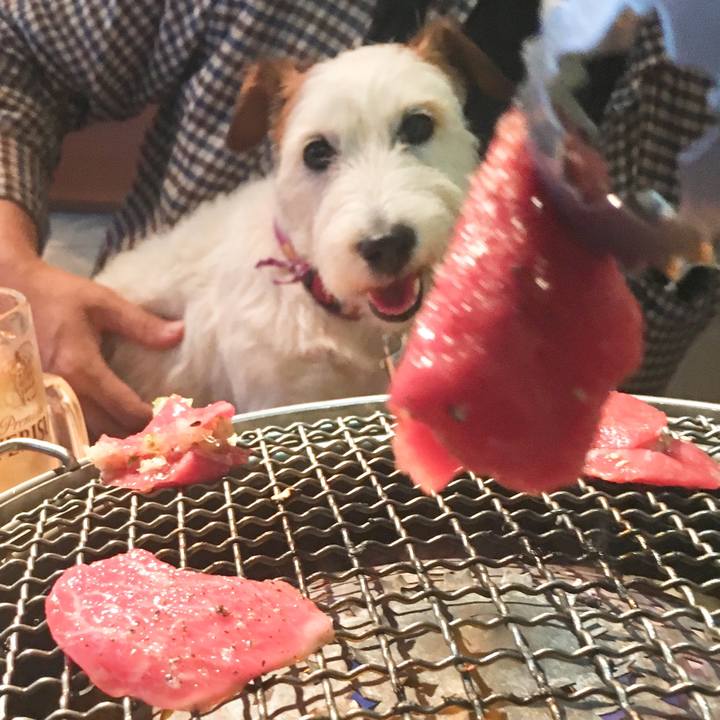 Fb5bee8e 7c80 4631 b9b9 88a98d444e8b 1560211952515