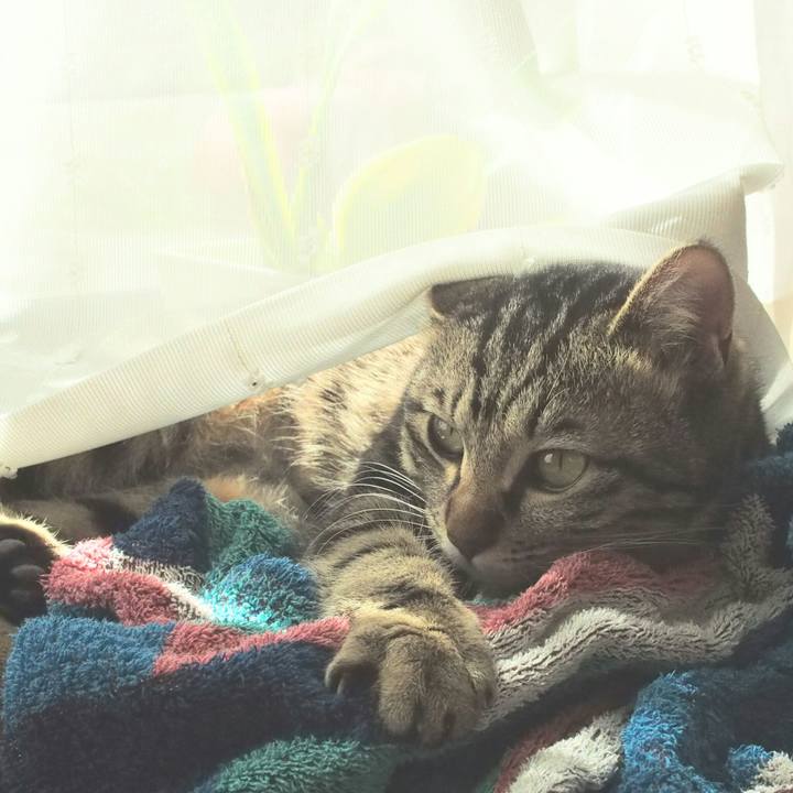 Fb5c30c1 fb3c 4d70 b865 a442af0e337e 1521260228294