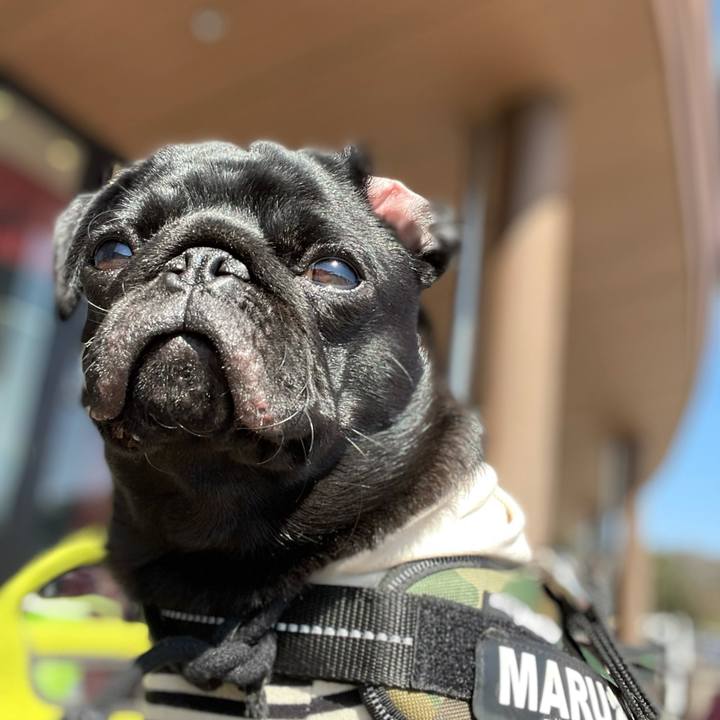 Fb5c391b 9528 4fac 9895 879f2f746b79 1614480446236