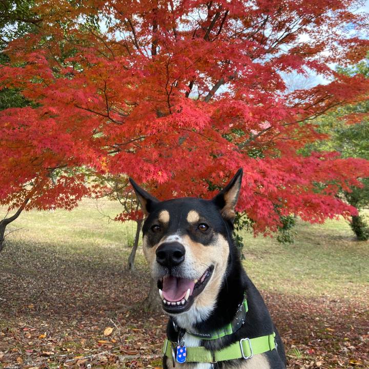 Fb5c5ab7 b5a0 464f ba34 2d9fb3fd6c14 1637677905562