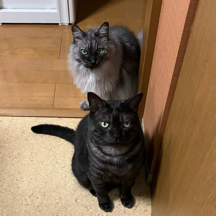 Fb5c8675 3b66 43ac a644 e2c7180e3f2a 1758633953199