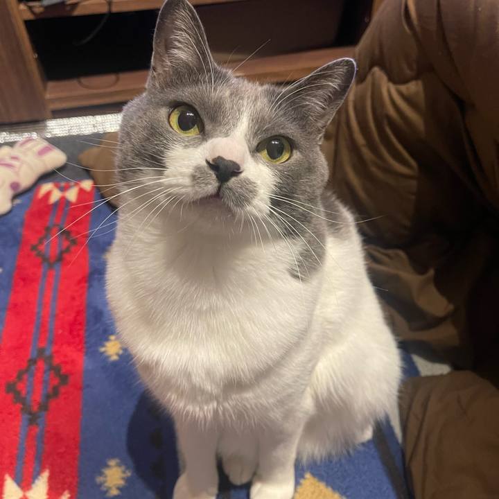 Fb5c956f 7a7c 411d 9c23 21f597494fbd 1676385949496