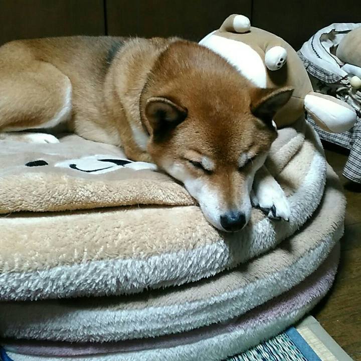 Fb5cb22e 9f16 4386 b7b6 77f659a0fb78 1543316112287