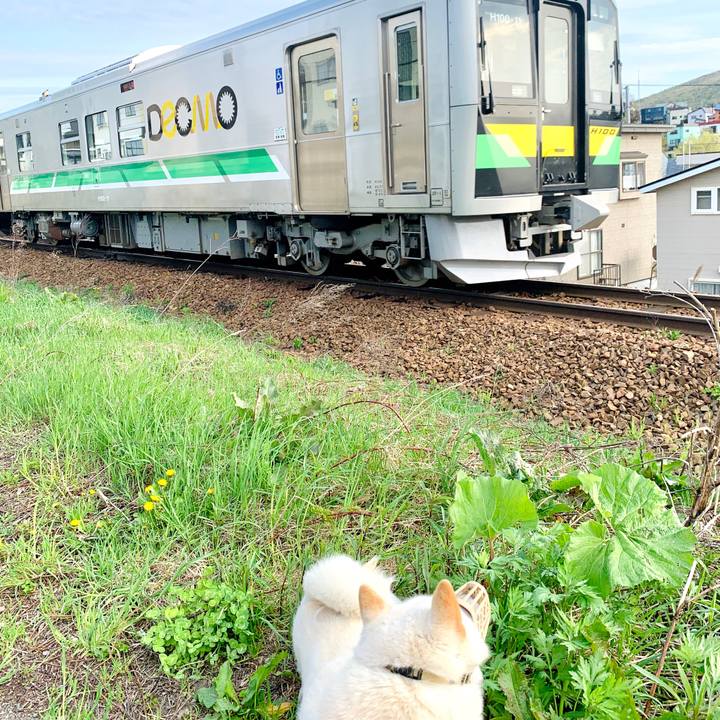 Fb5cc03b 4236 4d14 86a2 4861027f7059 1588976607119