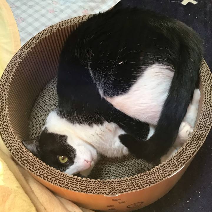 Fb5cf224 19d0 4cae a2ac 2c5642c736f7 1737621017552