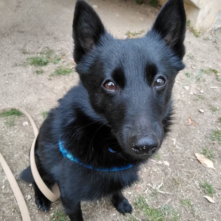 Fb5cfdce 1dac 465e a6e6 f930888b50bc 1548568572722