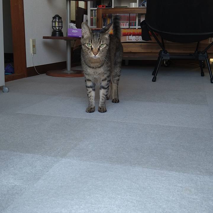 Fb5d1804 8abe 4d58 94ea 9f77e98fed3f 1664577520606