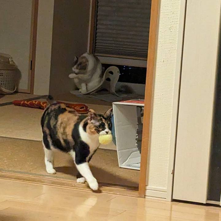 Fb5d1c21 ff83 4887 8c51 4e7564acf6ca 1700720504532