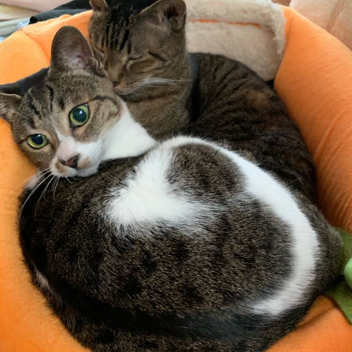 Fb5d27da d5a5 466e 9bac f30bea6866bb 1547254527767