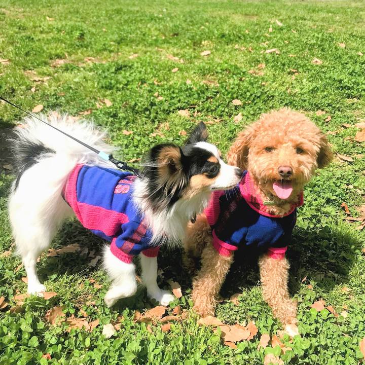 Fb5d46fa 554c 41de ae65 23306ae5bd74 1618546220150