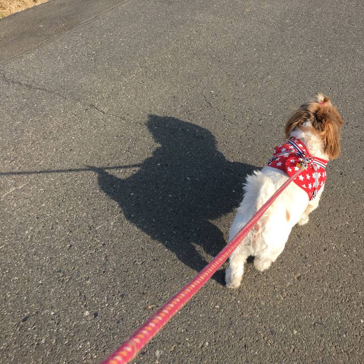 Fb5d7c7e e0f4 4864 8884 791ca42d8d6d 1522481812033