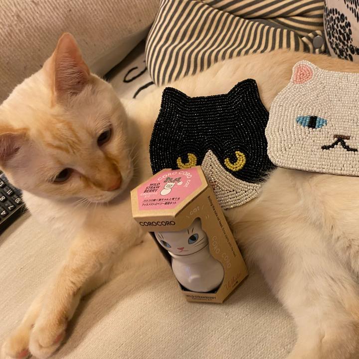 Fb5d8be6 db34 41cb b45a ca722af005e1 1762825539655