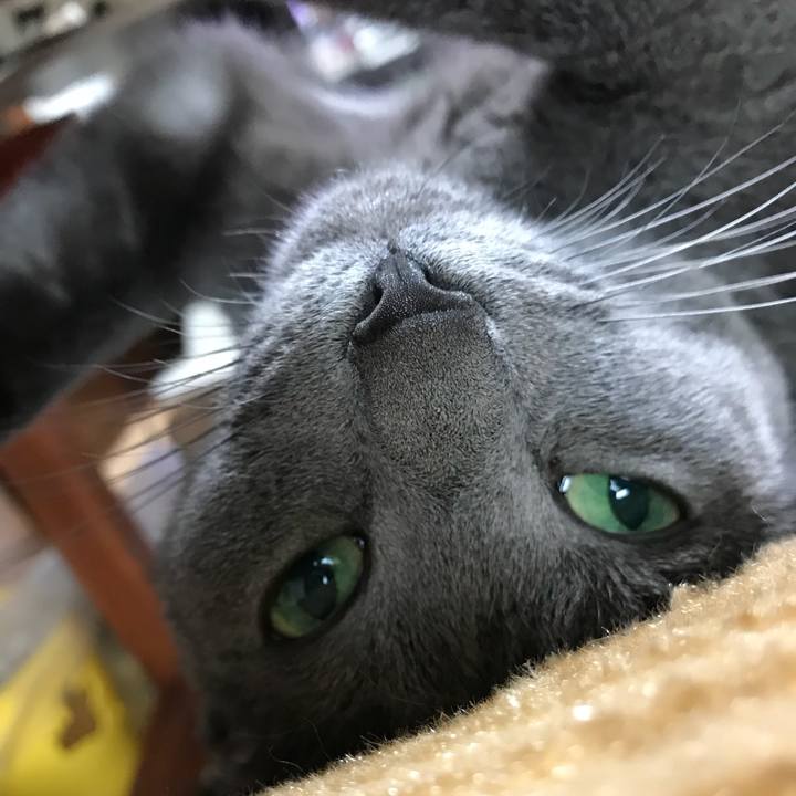 Fb5d967c 5464 4758 8a9b 5bac4a4104de 1525733734633