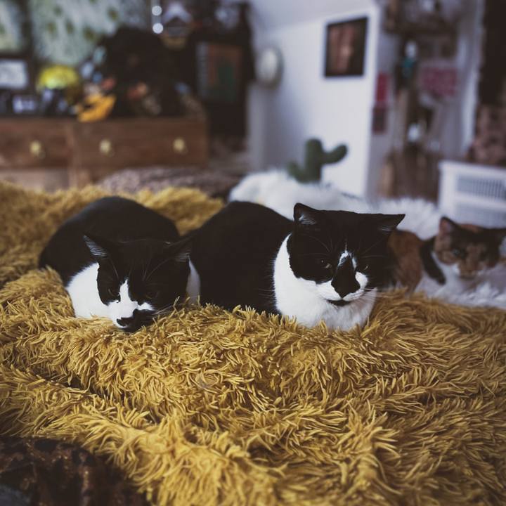 Fb5d9d08 514d 4d3f 9d1b 9d2d0884714c 1671359436130