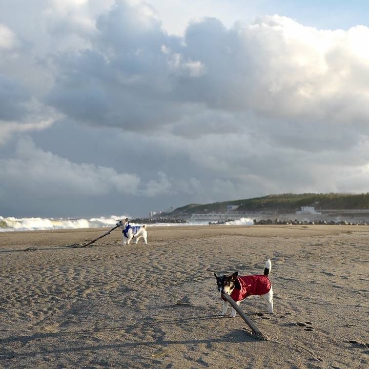 Fb5dadcc eb0a 4812 8c45 e37149f47b85 1544415391515