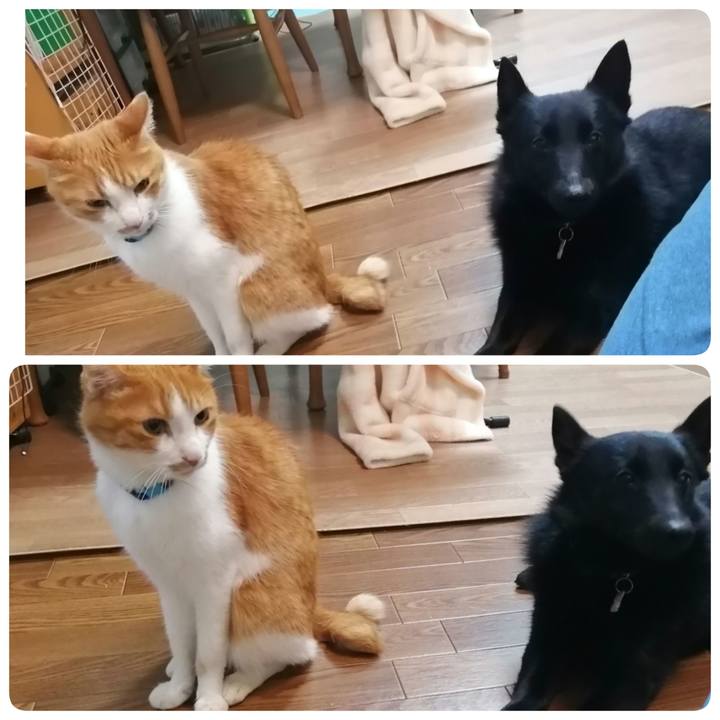 Fb5df520 43b3 4f42 a4ee f5c75a6516d4 1614857522157