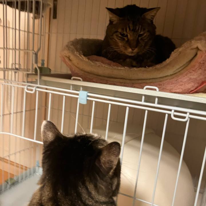 Fb5df633 7d34 4c99 8715 fd6a7748370b 1765465583078