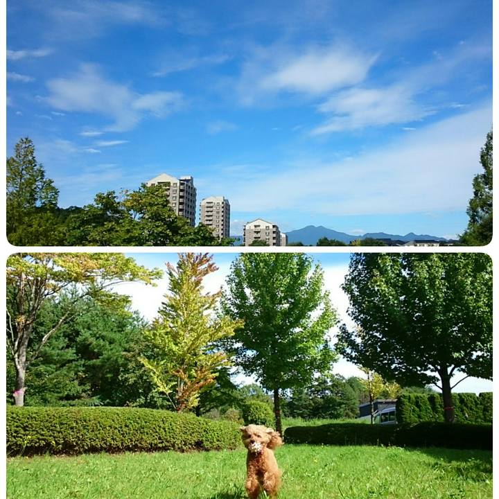 Fb5dfbfb 5a94 4f53 89af 3e274094c825 1537243104081