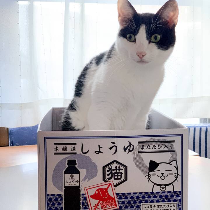 Fb5e1f55 7b85 4b07 a9fb 8b0fe5ca909a 1539138011698