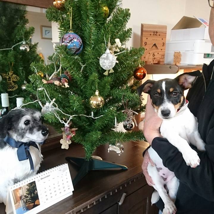 Fb5e7673 640e 4701 8c86 453aedf16b8f 1513809866012