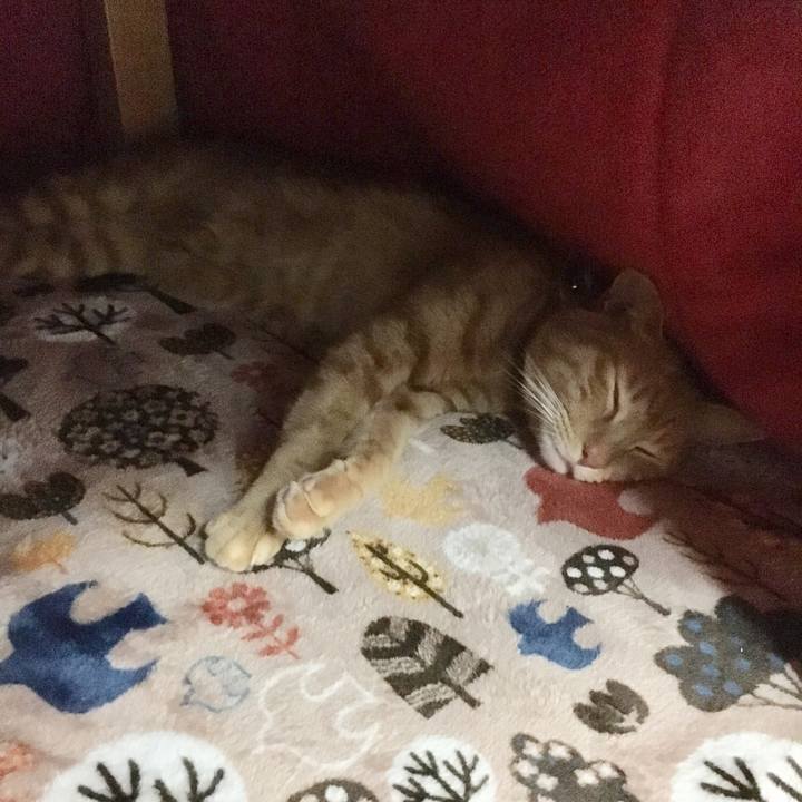 Fb5e8bda 7389 4885 93bd ddf439c64ffa 1514719842689