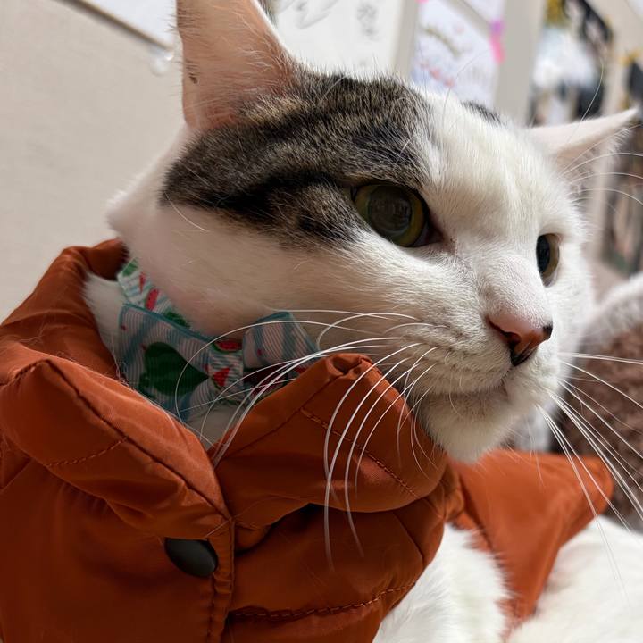 Fb5ebb75 c611 4d34 95b1 63b7fa012390 1770747136347