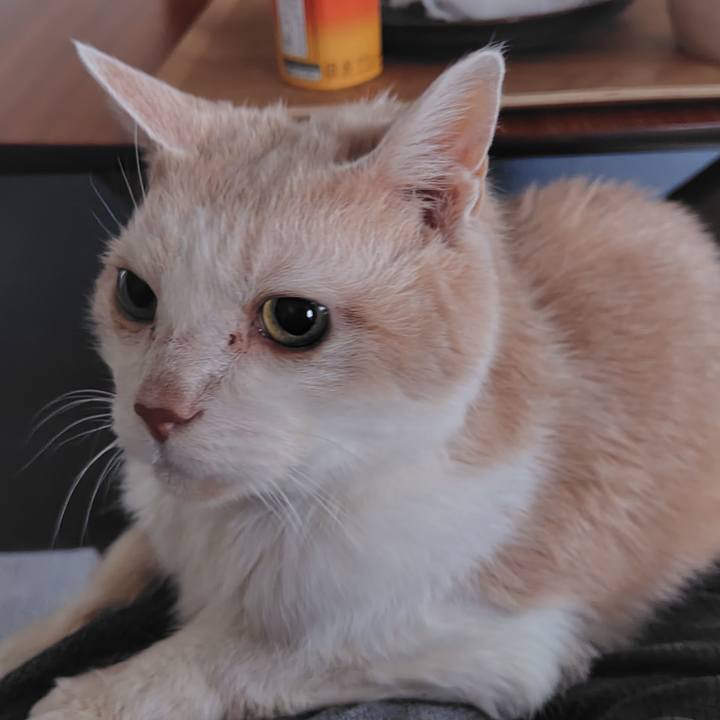 Fb5ebfa9 b168 4d1a 8dc0 ea0c48d3aea0 1767479345496