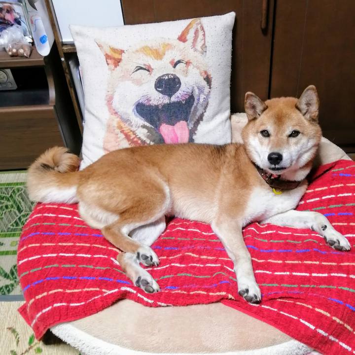 Fb5ed45f ad24 49c4 8cf7 84502a02a9d0 1633087560686