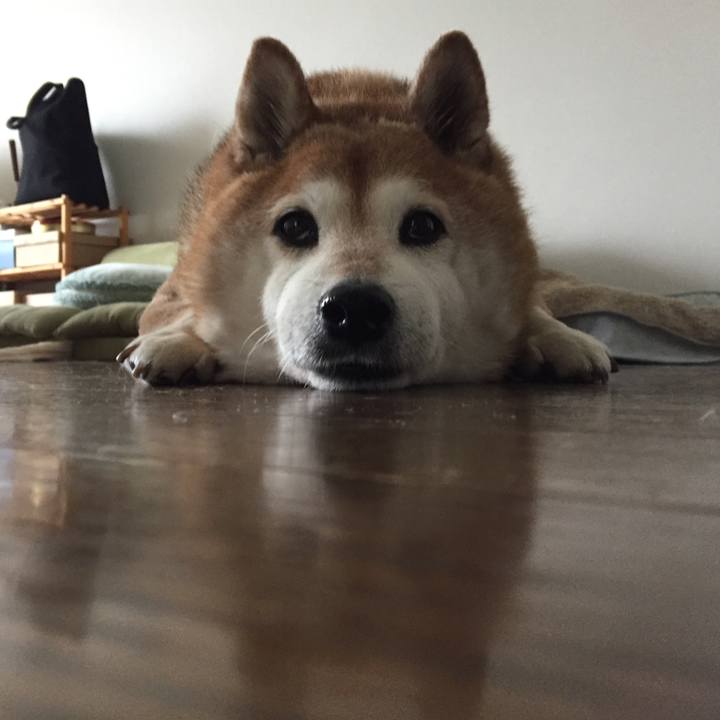 Fb5eeb2c bd7e 4d33 92ef 7abbe9d78b2b 1549897911600