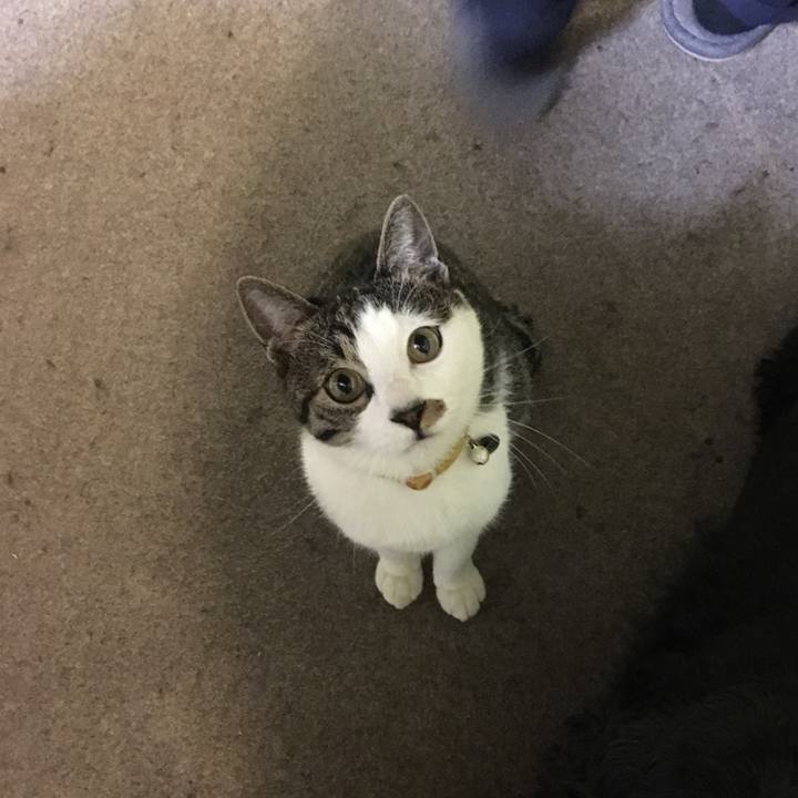 Fb5eedc7 4a3f 414b a139 d3de8cf26d64 1511180007645