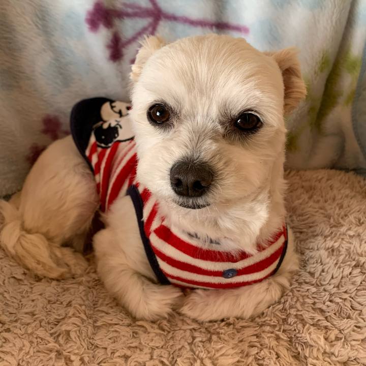 Fb5f0b7f 0706 41ac 8d8b 5c406281ecc8 1583378435567