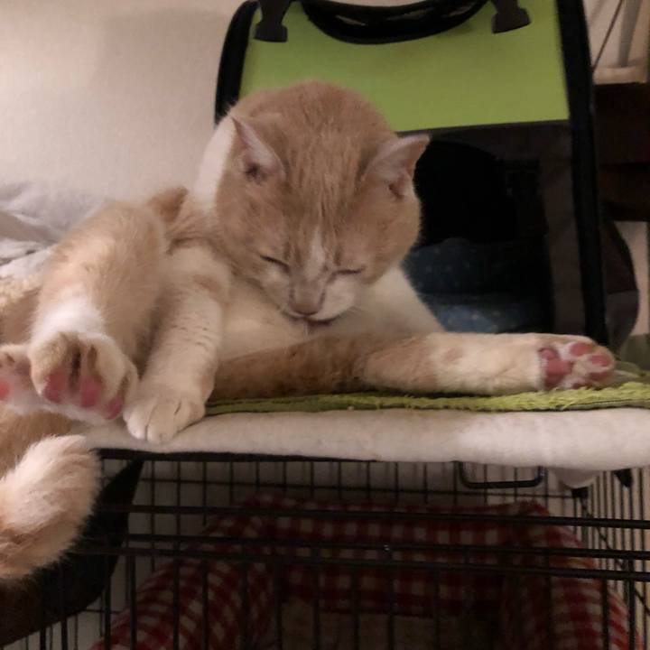 Fb5f2225 3ed8 42a1 a2c4 c8ee7350f220 1538995682158