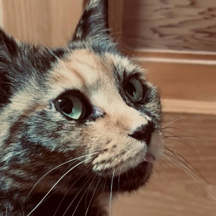 Fb5f2bfc ed7a 48ea 8a55 c62a536c3d15 1754186683253