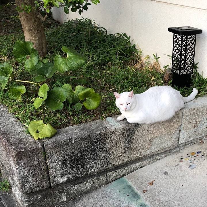 Fb5f3ace b597 4729 8303 a73ab9e085ca 1533118898311